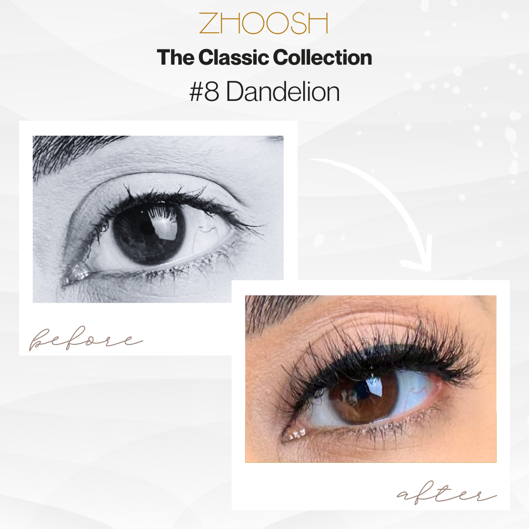 #8 Dandelion